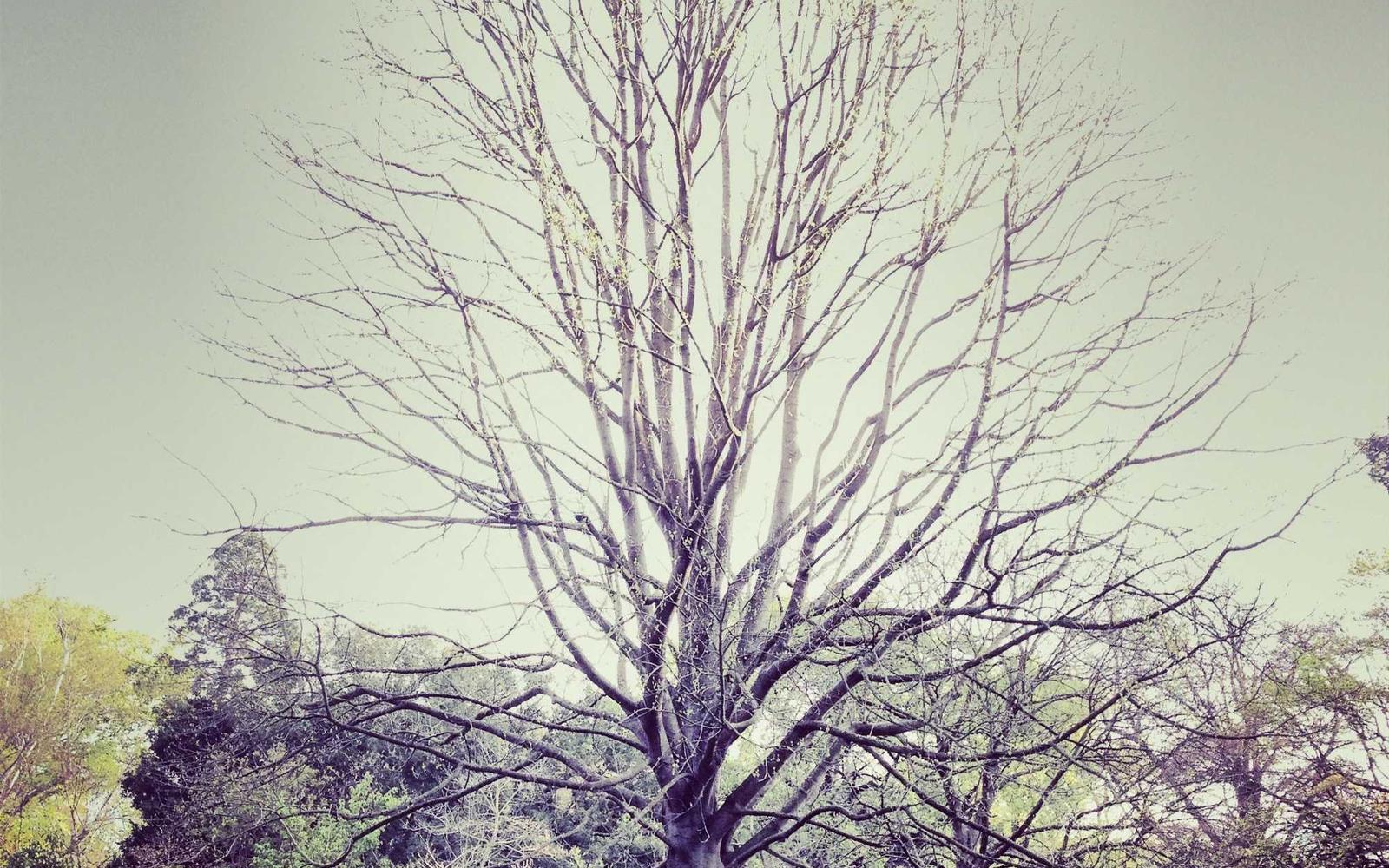 Selbstbehauptungstraining